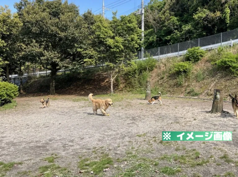 美合パーキングエリア（下り）ドッグラン