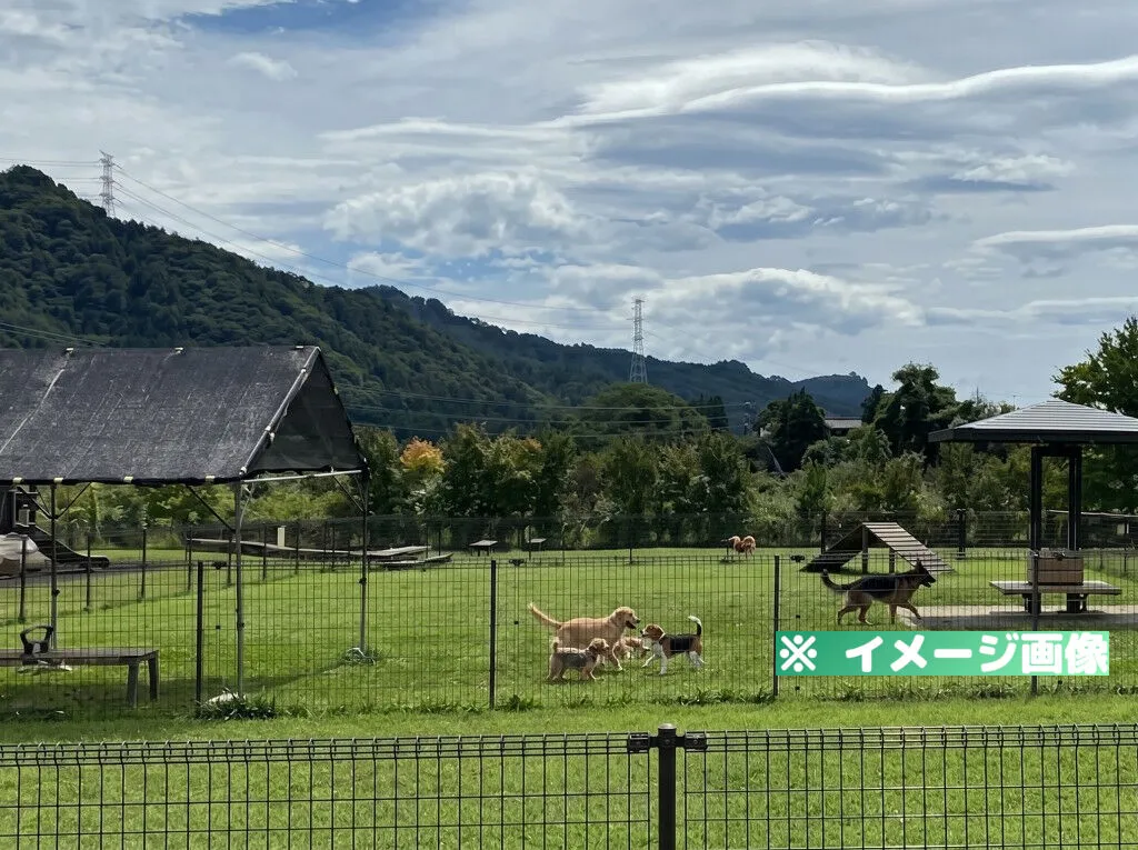 道の駅 あがつま峡 ドッグラン