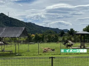 道の駅 あがつま峡 ドッグランのイメージ画像