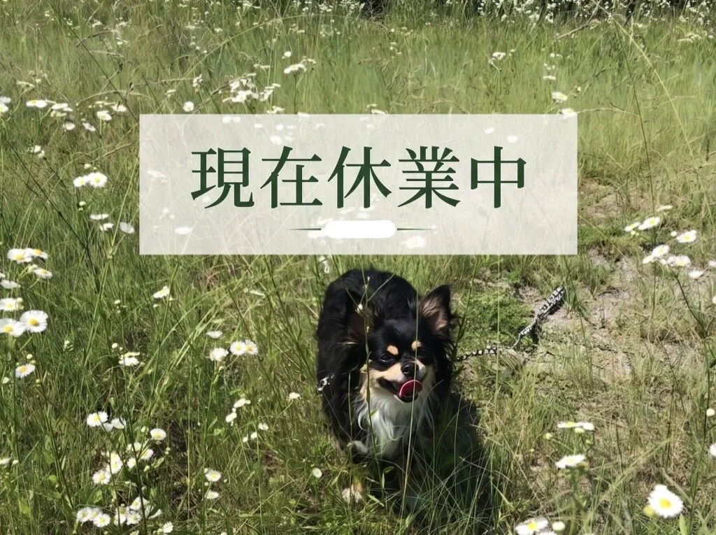 道の駅 あかいがわ ドッグラン
