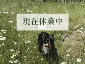 道の駅 あかいがわ ドッグラン