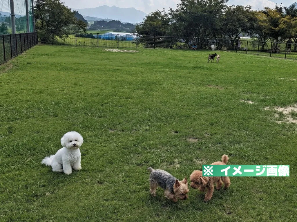 道の駅 あそ望の郷くぎの ドッグラン