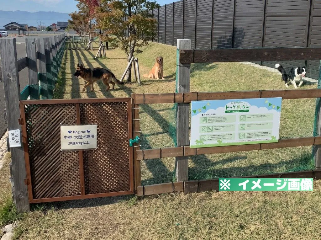 道の駅 越前おおの 荒島の郷 ドッグラン