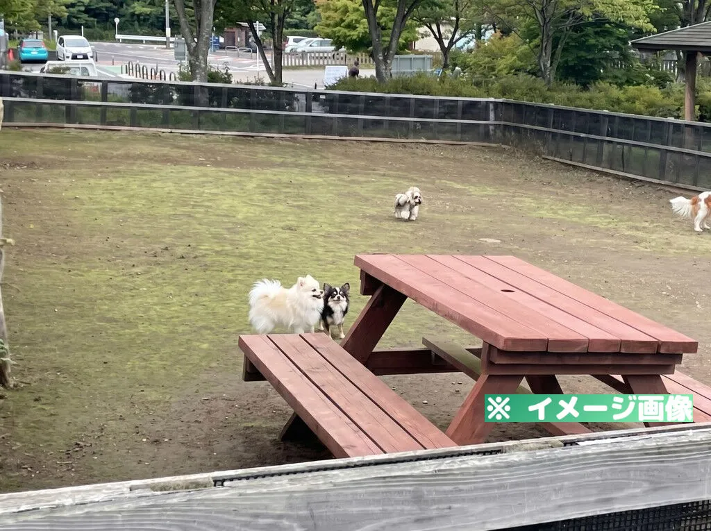 道の駅 富士吉田 ドッグラン
