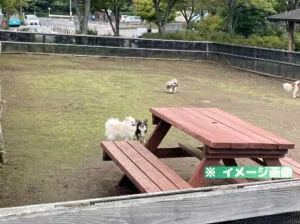 道の駅 富士吉田 ドッグランのイメージ画像