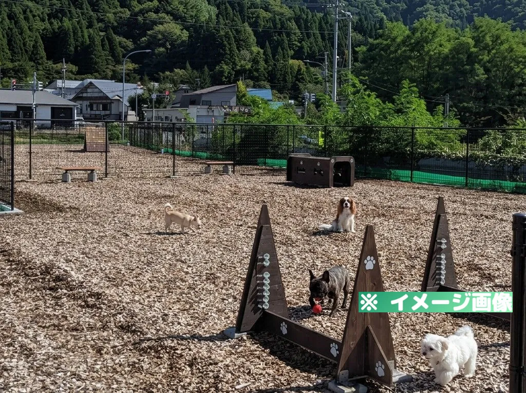 道の駅 ふたつい きみまちの里 ドッグラン
