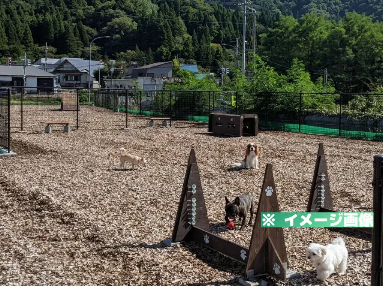 道の駅 ふたつい きみまちの里 ドッグラン