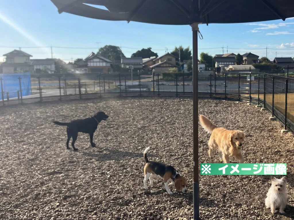 道の駅 グランテラス筑西 ドッグラン