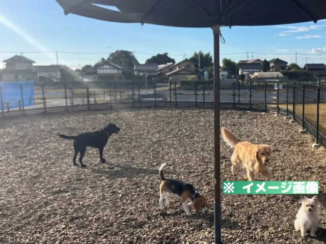 道の駅 グランテラス筑西 ドッグラン