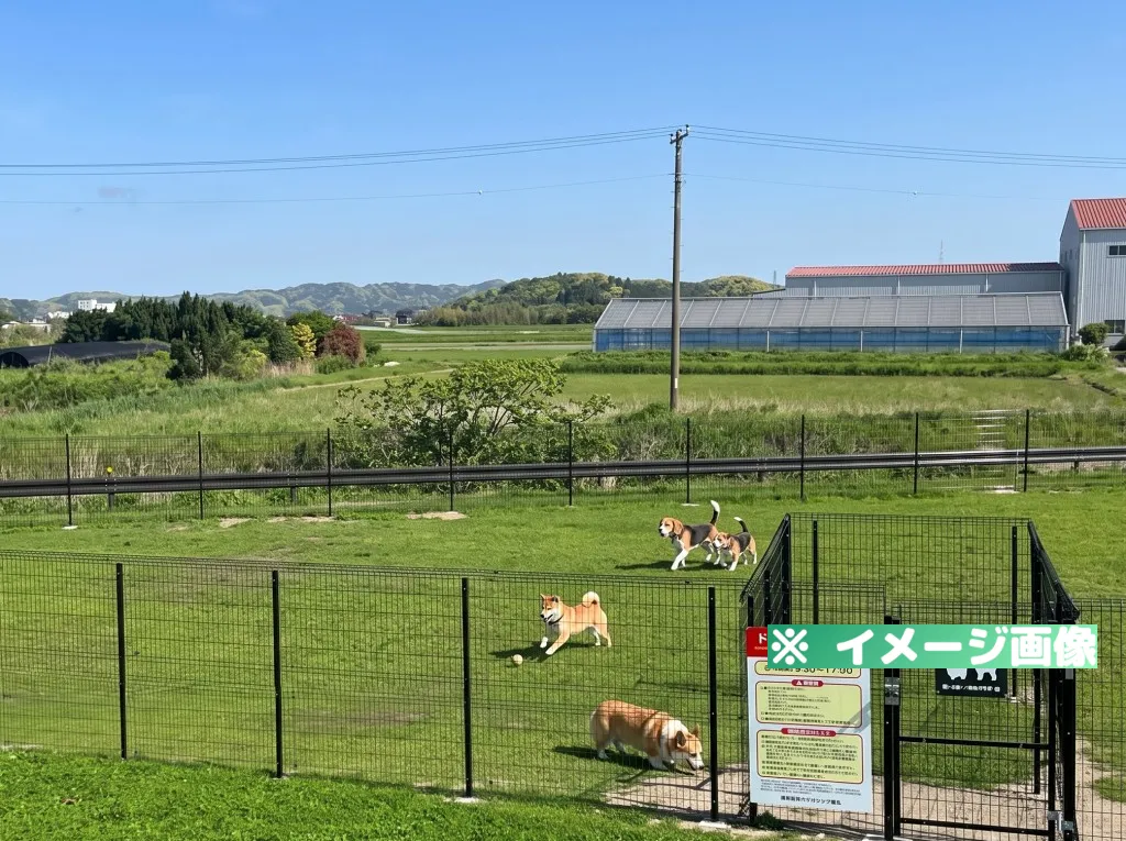 道の駅 グリーンファーム館山 ドッグラン