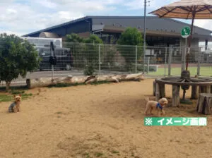道の駅 いたの ドッグランのイメージ画像