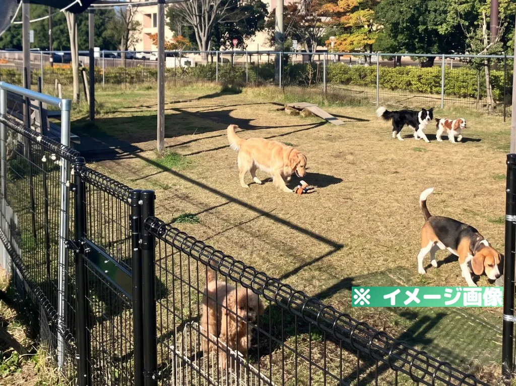 道の駅 かくだ ドッグパーク
