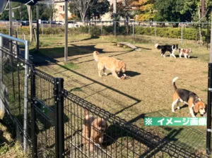 道の駅 かくだ ドッグパークのイメージ画像