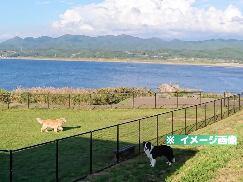 道の駅 上ノ国もんじゅ ドッグラン