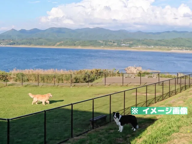 道の駅 上ノ国もんじゅ ドッグラン