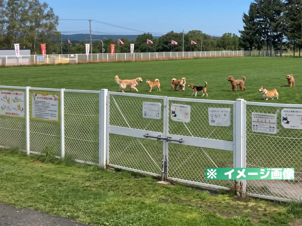 道の駅 絵本の里 けんぶち ドッグラン「ムーニャパーク」