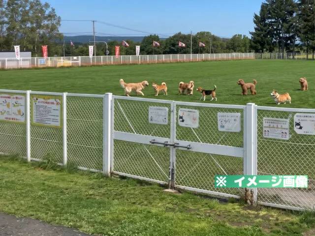 道の駅 絵本の里 けんぶち ドッグラン「ムーニャパーク」
