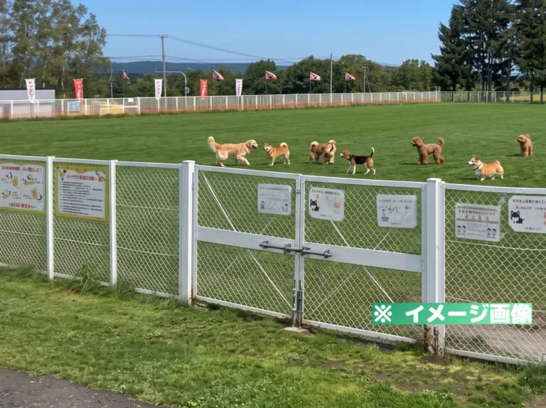 道の駅 絵本の里 けんぶち ドッグラン「ムーニャパーク」