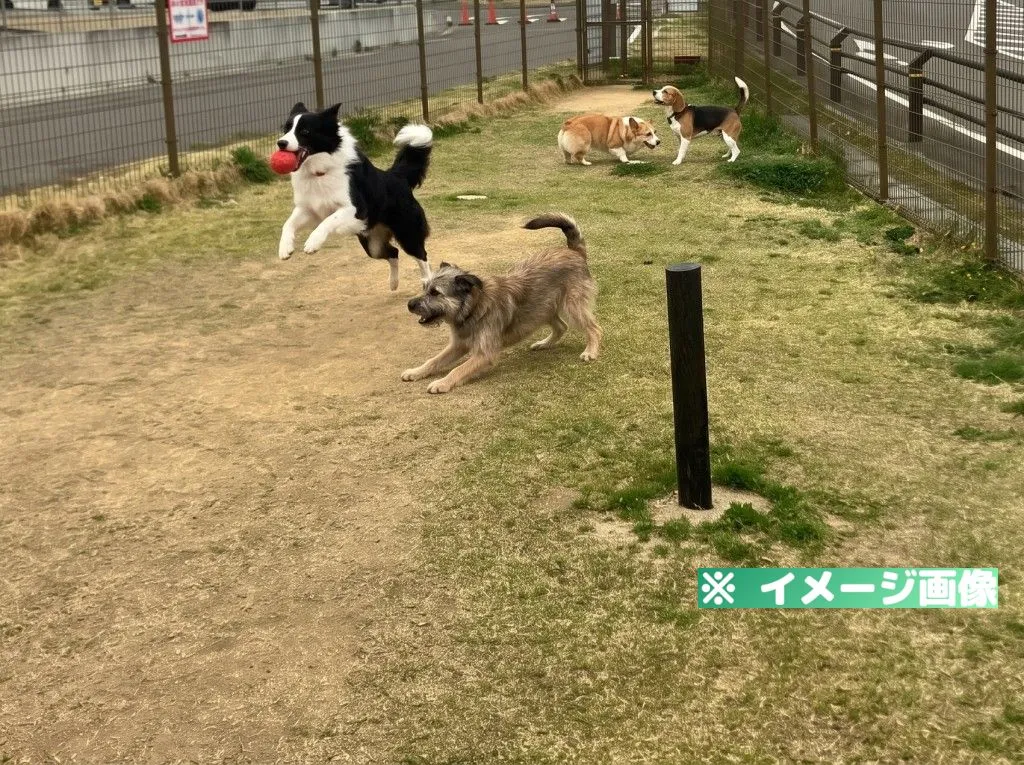 道の駅国見 あつかしの郷 ドッグラン