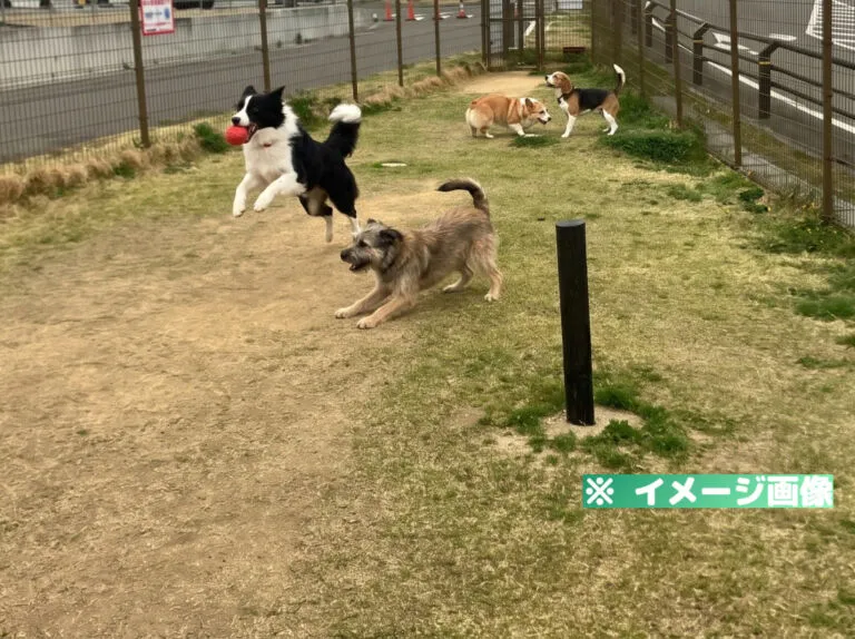 道の駅国見 あつかしの郷 ドッグラン