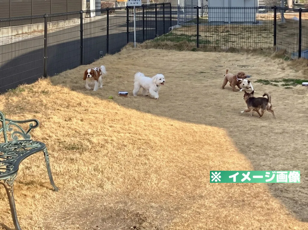 道の駅 くしま ドッグラン