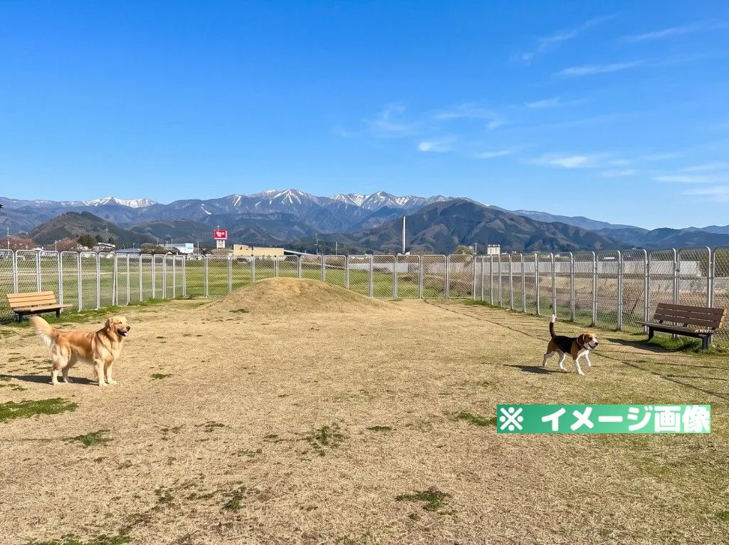 恐竜渓谷勝山エリア ドッグラン