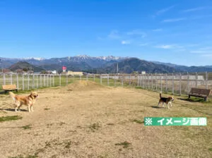 恐竜渓谷勝山エリア ドッグランのイメージ画像