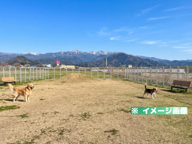 恐竜渓谷勝山エリア ドッグラン
