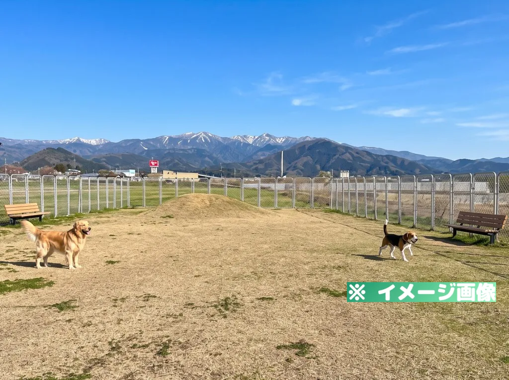 恐竜渓谷勝山エリア ドッグランのイメージ画像