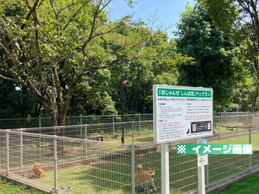 道の駅 松山 ドッグラン