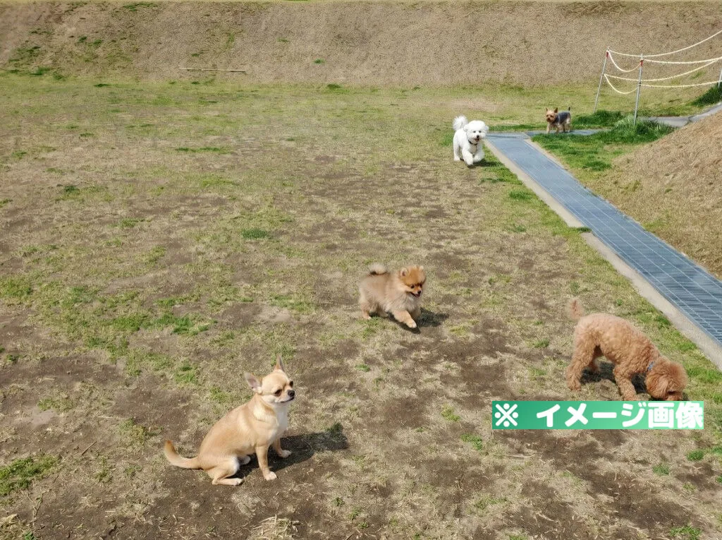 道の駅 めぐみ白山 ドッグラン