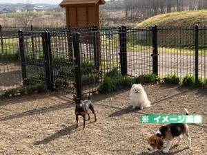 上田 道と川の駅おとぎの里 ドッグラン