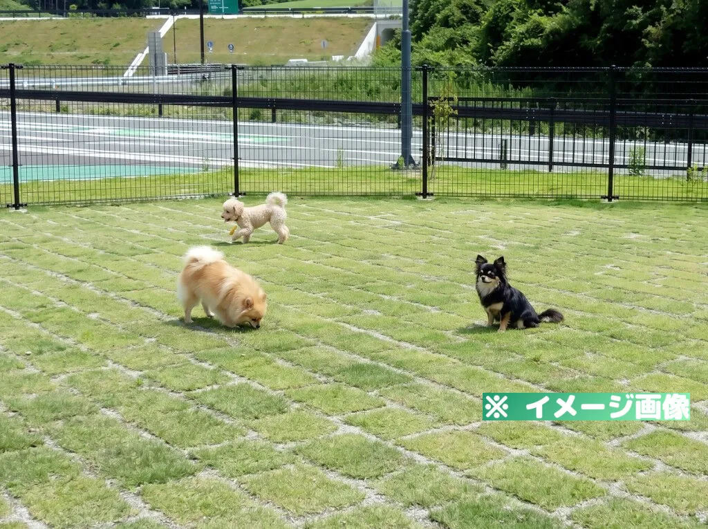 道の駅 三滝堂 ドッグラン