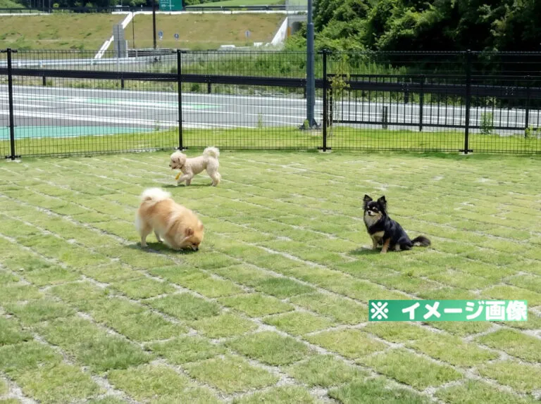 道の駅 三滝堂 ドッグラン