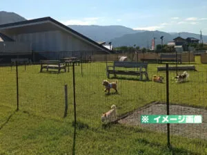 道の駅 みまの里 ドッグランのイメージ画像