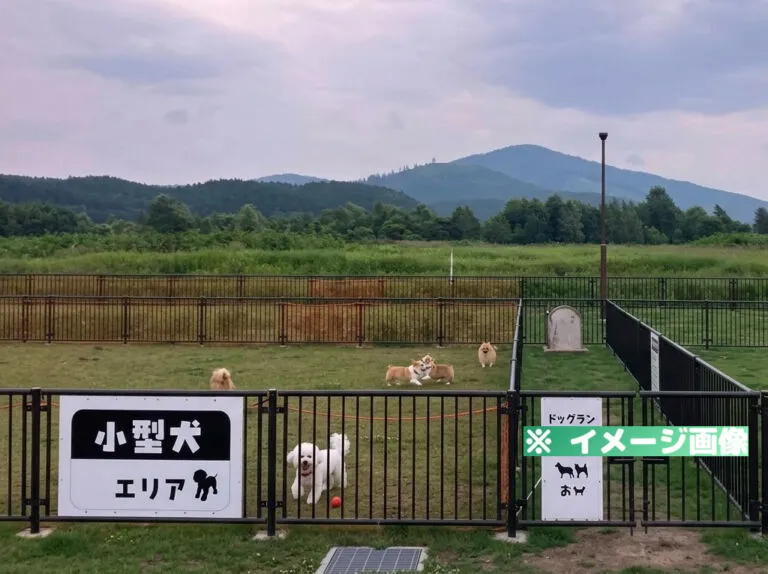 道の駅 南ふらの ドッグラン