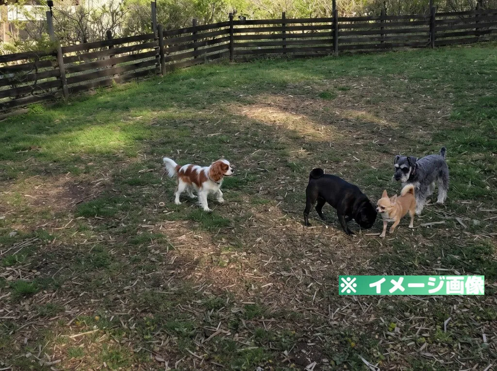 道の駅 南きよさと ドッグラン