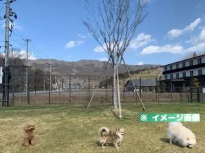道の駅お茶の京都 みなみやましろ村 ドッグラン