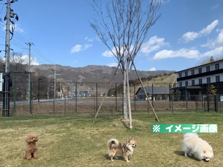 道の駅お茶の京都 みなみやましろ村 ドッグラン