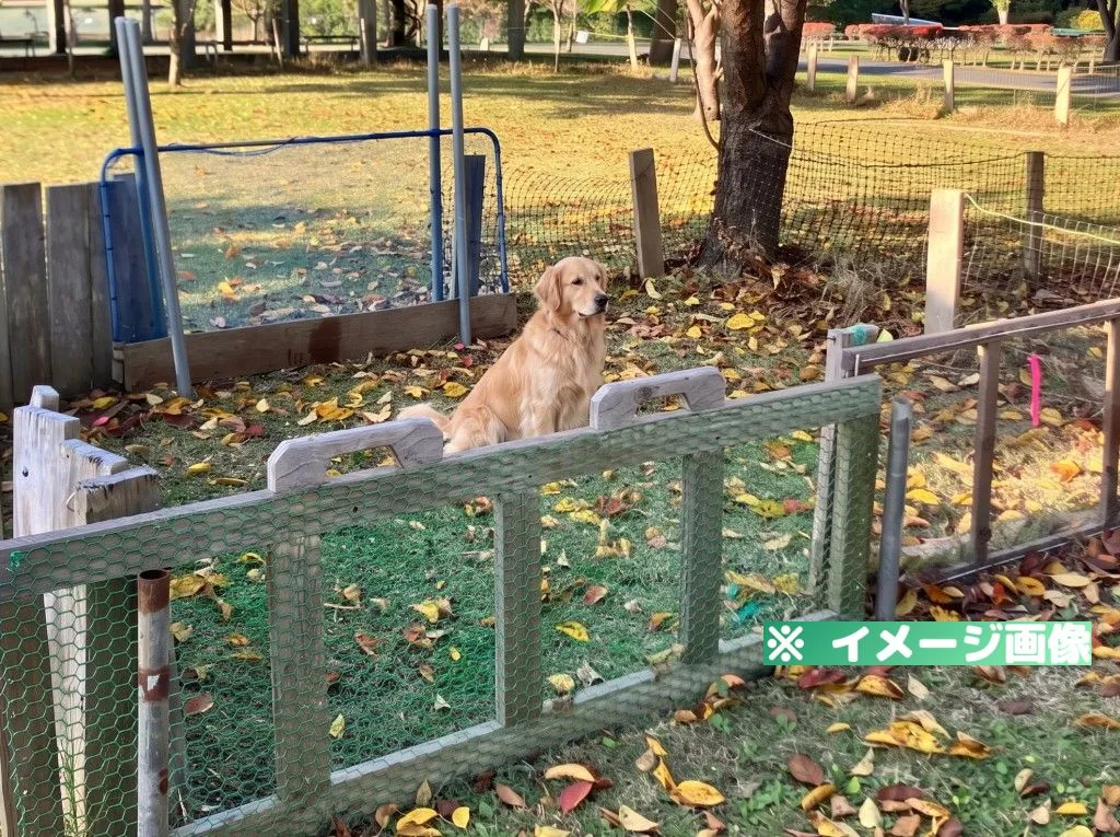 道の駅みさわ 斗南藩記念観光村 愛犬ひろば