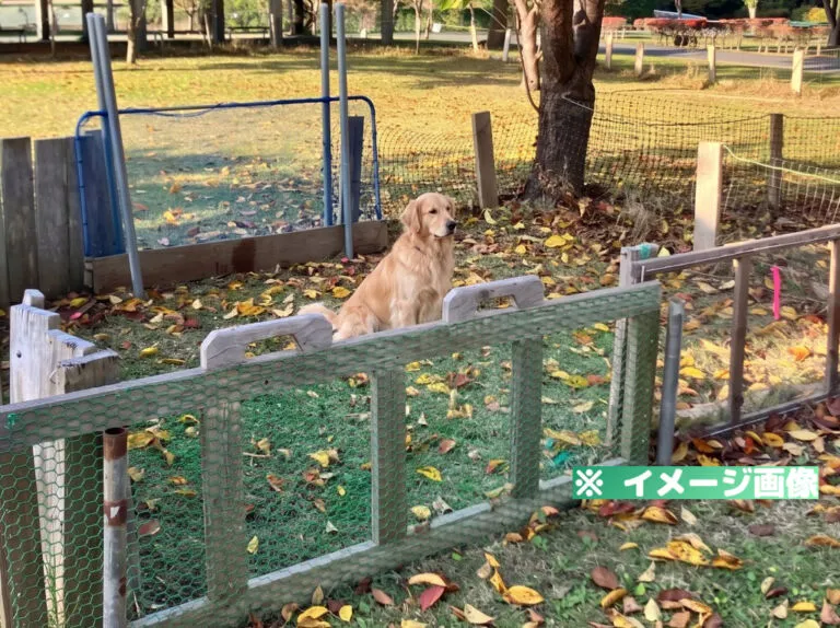 道の駅みさわ 斗南藩記念観光村 愛犬ひろば