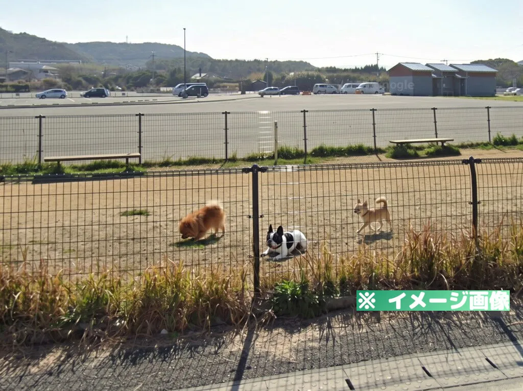 道の駅 むなかた ドッグラン