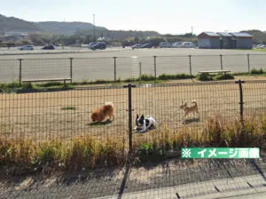 道の駅 むなかた ドッグランのイメージ画像