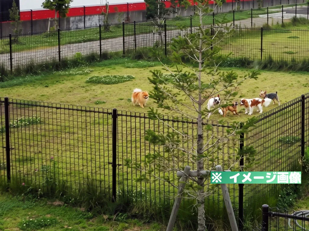 道の駅 むつざわつどいの郷 ドッグラン