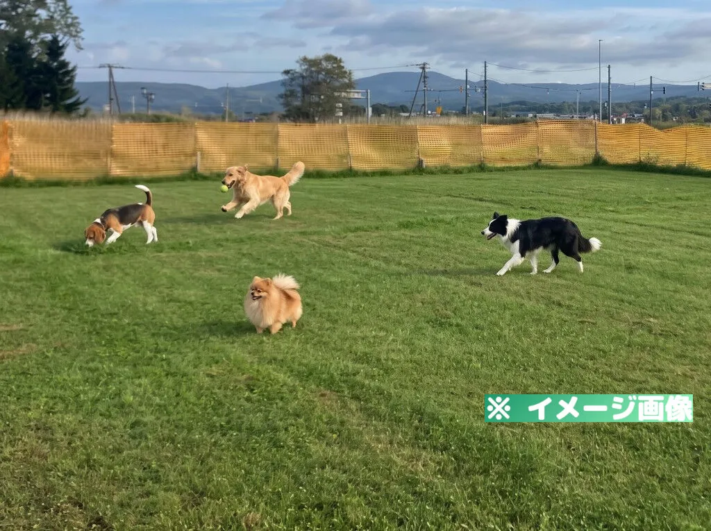 道の駅なかがわ ドッグラン（わんわん広場）のメイン画像