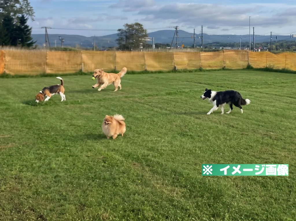 道の駅 なかがわ ドッグラン（わんわん広場）のメイン画像