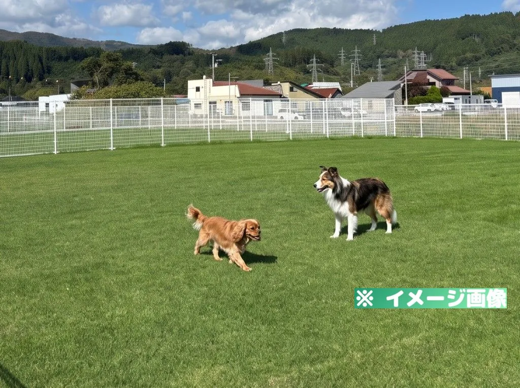 道の駅なないろ・ななえ ドッグラン