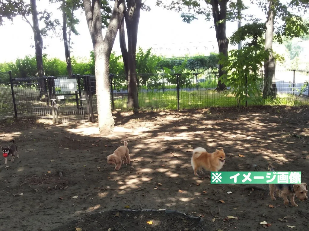 道の駅 オアシスおぶせ ドッグラン