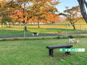 道の駅 奥入瀬ろまんパーク ドッグランのイメージ画像