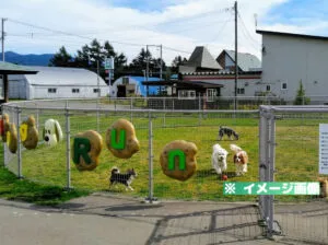 道の駅 パパスランドさっつる ドッグランのイメージ画像